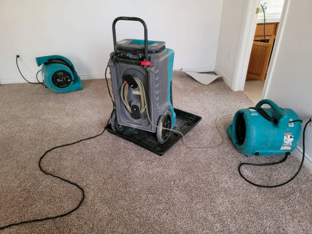 Best Flood damage cleanup  in Traer, IA