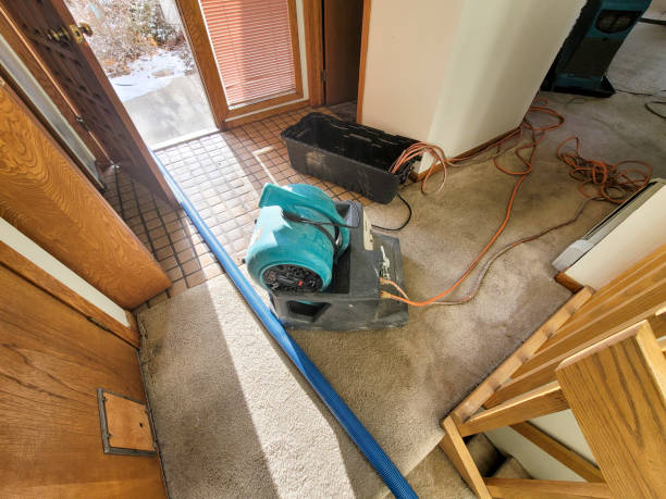 Best 24/7 water damage repair  in Traer, IA