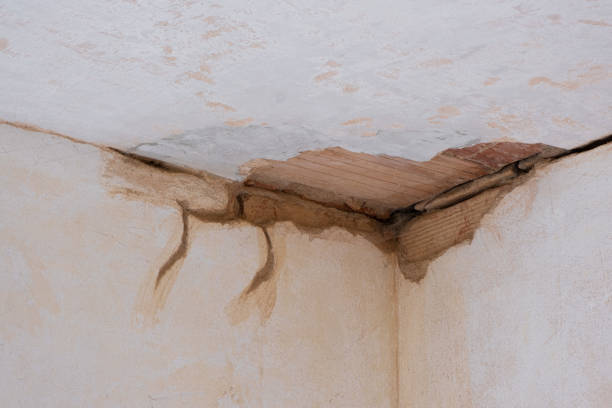 Best Local water damage restoration  in Traer, IA