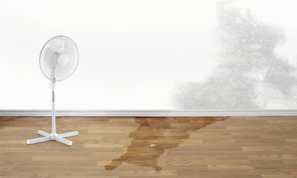 Best 24-hour water damage restoration  in Traer, IA
