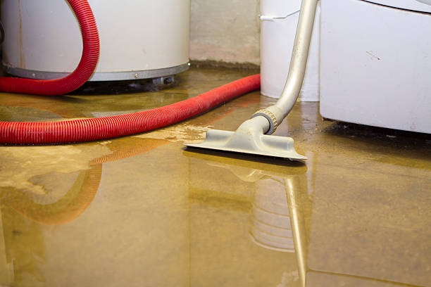 Best Professional water damage repair  in Traer, IA