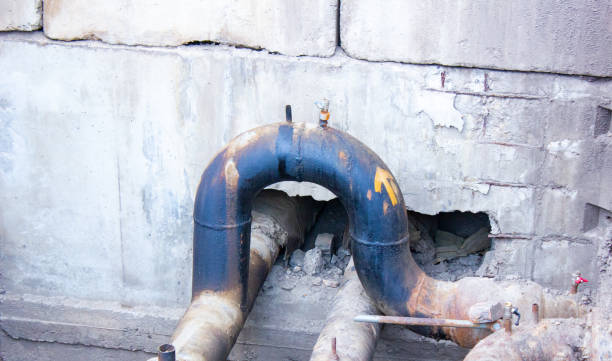 Best Professional water damage repair  in Traer, IA