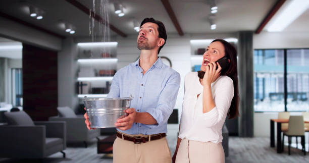 Best Water damage contractors near me  in Traer, IA